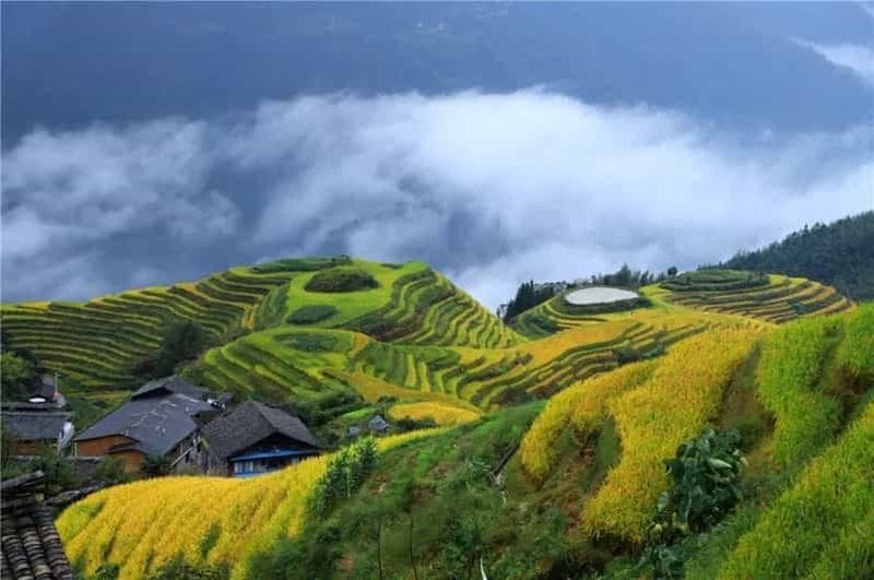 Billet Visite privative de 6 jours : terrasses de Guilin, Fenghuang et Zhangjiajie