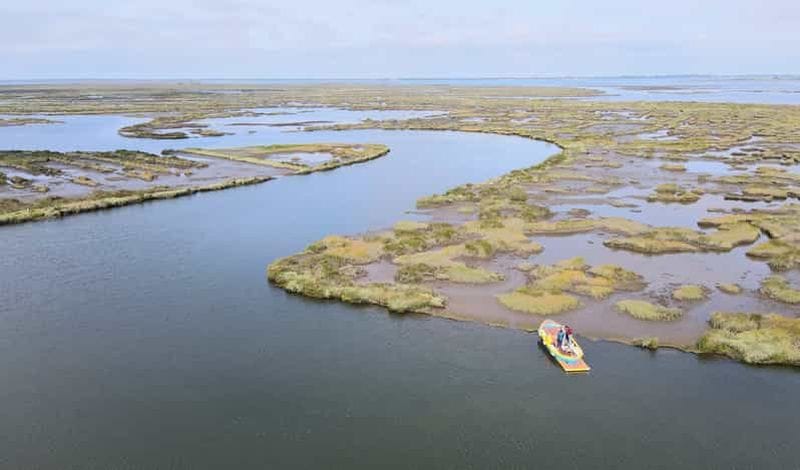 Billet Aveiro : sortie en bateau dans la Ria