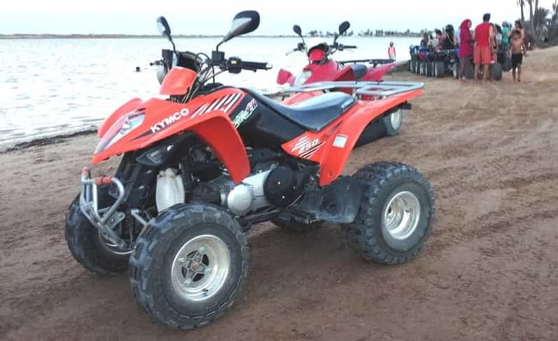 Billet Djerba : aventure d'une heure et demie en quad vers l'île des flamants roses