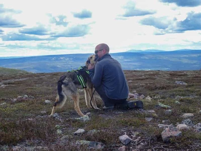 Billet Ljørdalen - Trysil : randonnée avec des huskies, feu de camp et déjeuner !