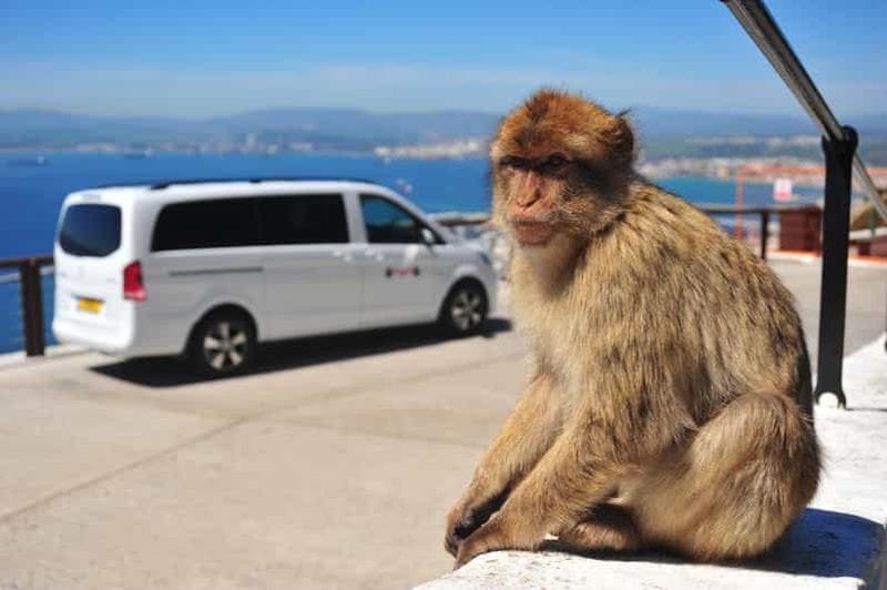 Billet Gibraltar : visite privée des temps forts avec billets d'entrée
