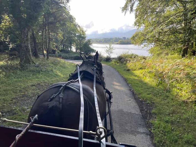 Billet Visite en calèche du parc national de Killarney