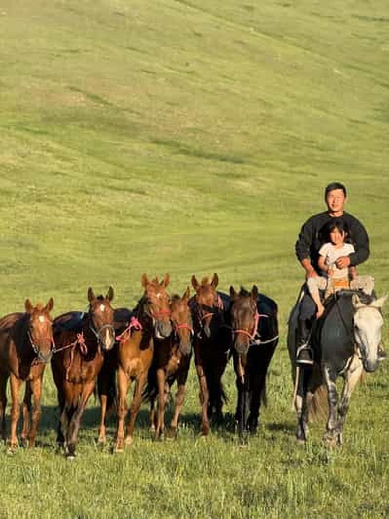 Billet Ulziit près d'Oulan-Bator : balade à cheval et visite d'une famille d'éleveurs