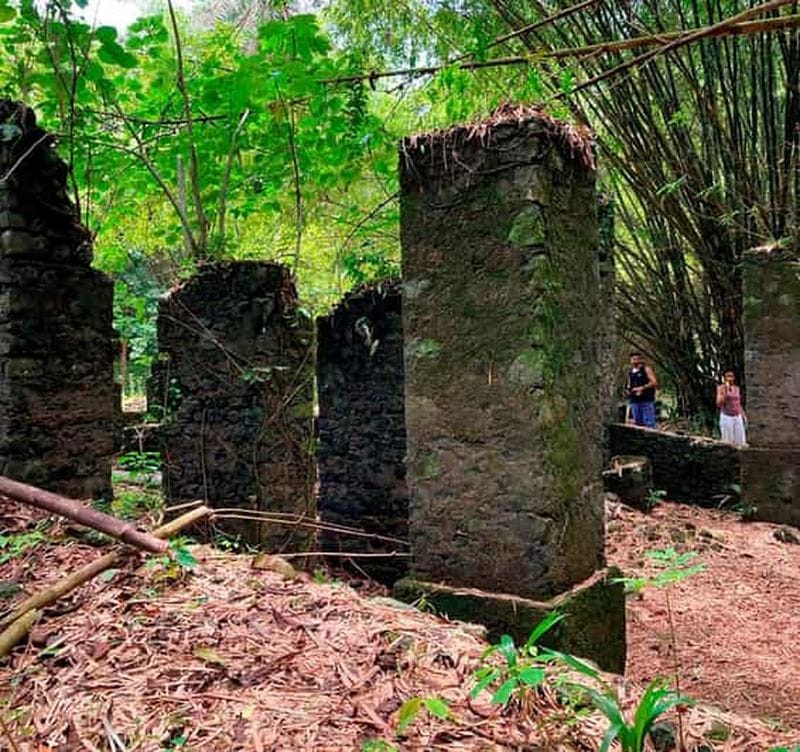 Billet Visite d'une journée au site historique de Bimbia au départ de Douala