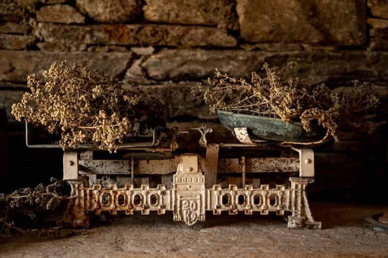 Billet Ios : expérience culinaire avec dégustation de fromages et de vins