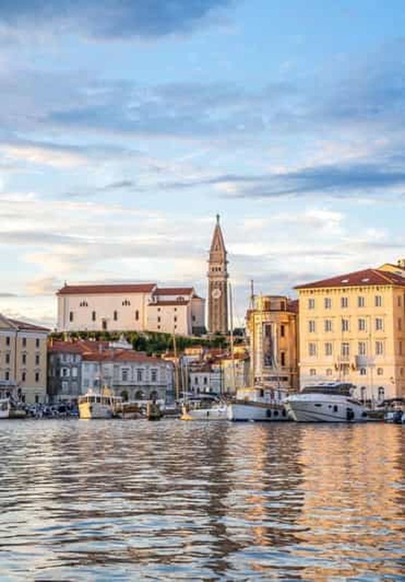 Billet TRIESTE : visite de la côte slovène avec dégustation de vin