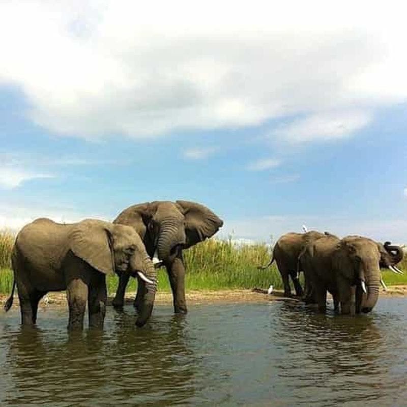 Billet Malawi : excursion de 7 jours au lac Malawi et au parc de Liwonde