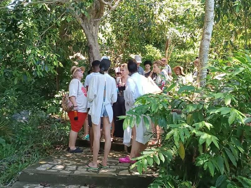 Billet Madagascar : visite d'une journée à Andasibe avec la réserve de Peyrieras