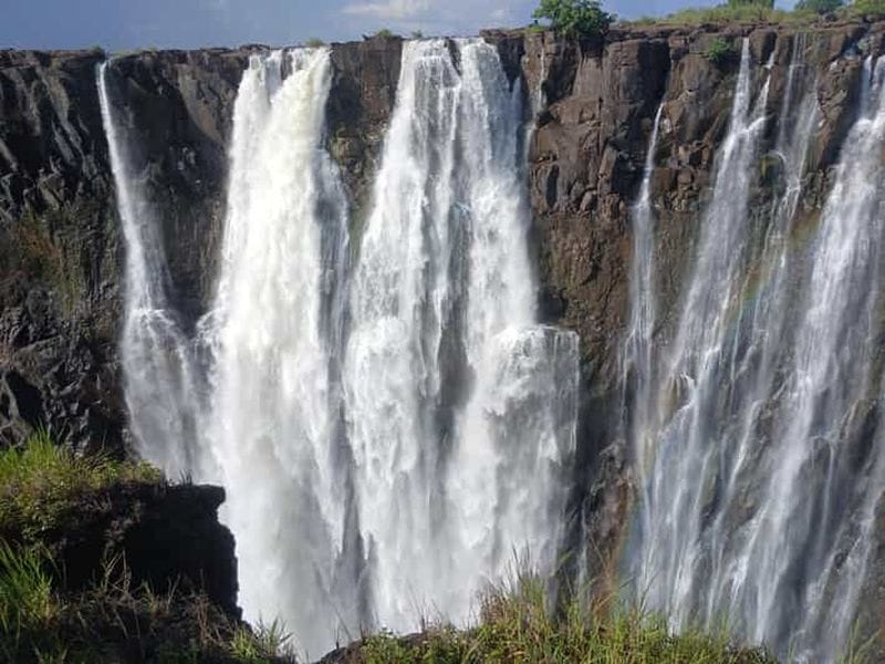 Billet Livingstone : chutes Victoria, rencontre avec les rhinocéros et safari à Chobe