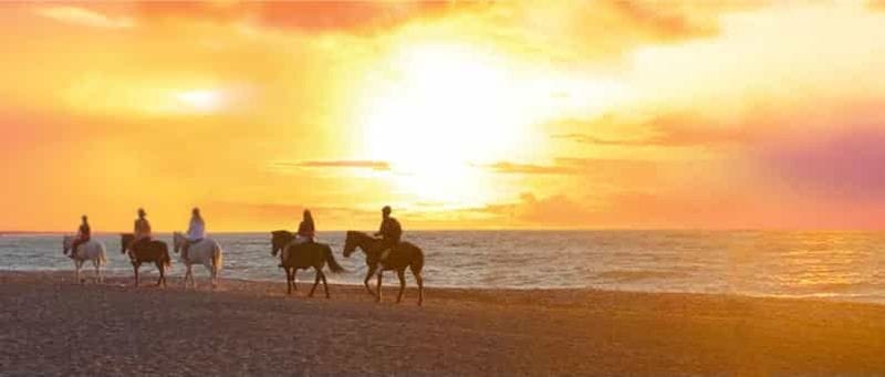 Billet Île de Rhodes : balade à cheval sur la plage au coucher du soleil