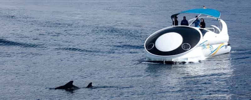 Billet Au départ de Tazacorte : découvrez la côte nord-ouest en yacht rapide.