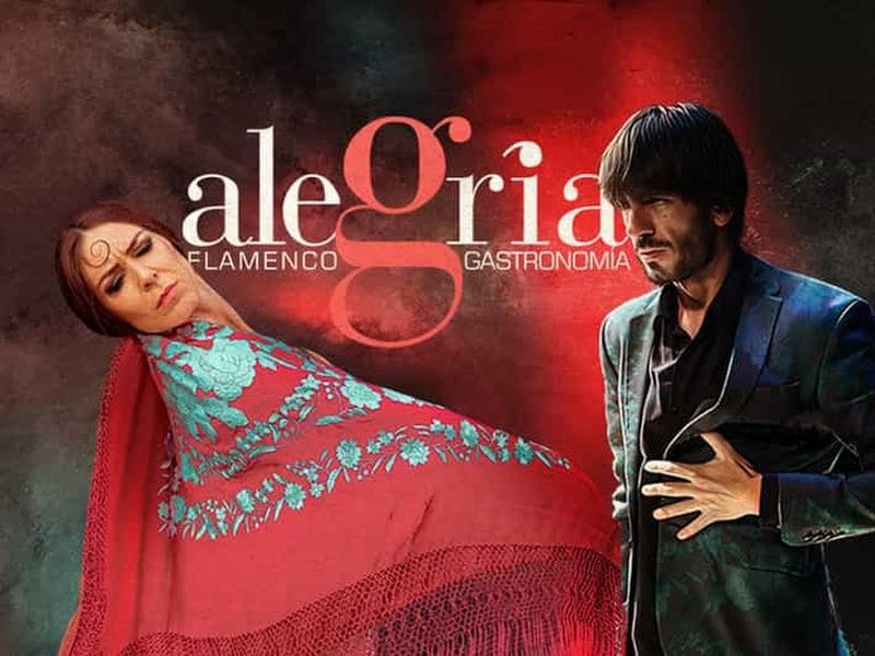 Billet Malaga : spectacle authentique de flamenco à l'Alegría