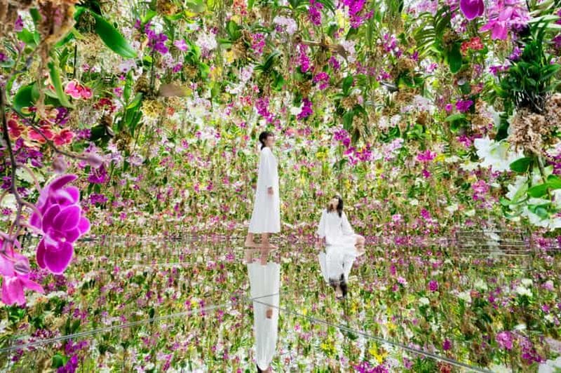 Billet Tokyo : billet d'entrée au musée d'art numérique teamLab Planets TOKYO