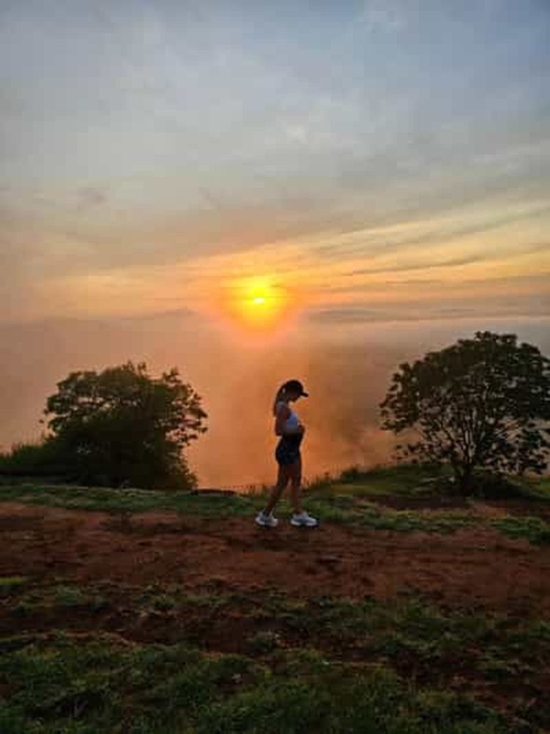 Billet Visite d'une journée : rocher de Sigiriya et safari pour observer les éléphants à Minneriya