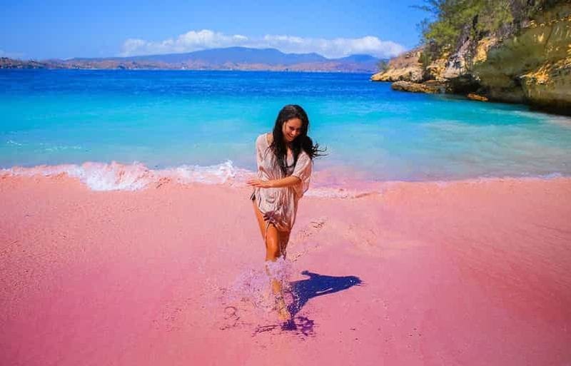Billet Lombok : excursion à Pink Beach, Gili Petelu et Gili Gambir