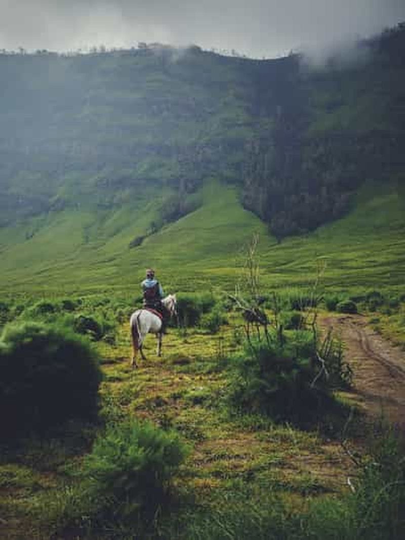 Billet Suva : balade à cheval sur la Coral Coast et cascade