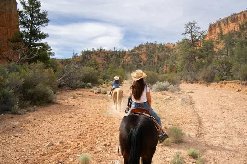Billet Yucca Valley : aventure privée à cheval dans le High Desert