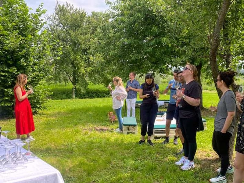 Billet Sirmione : visite du vignoble avec les vins Lugana et dégustations locales