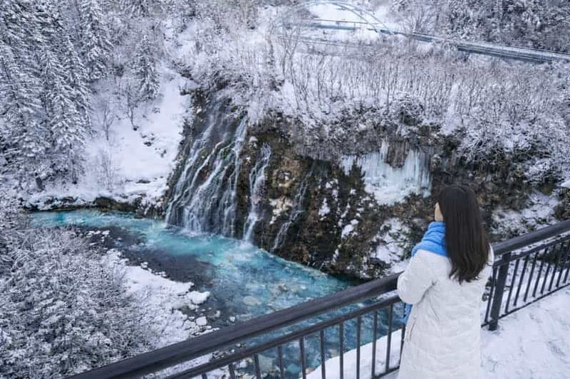 Billet Sapporo : visite du zoo d'Asahiyama, de la cascade et de l'étang bleu