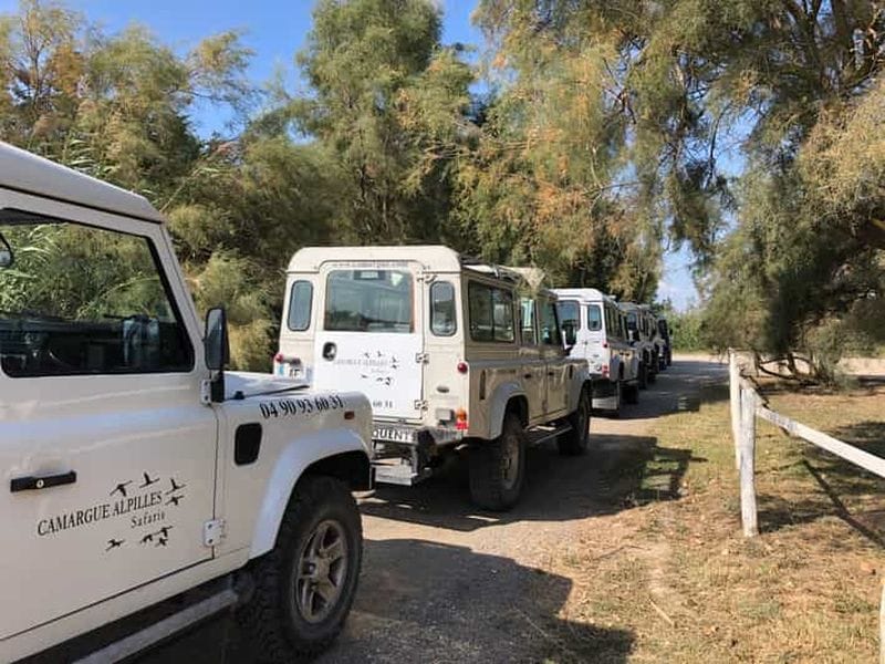 Billet Au départ d'Arles : demi-journée de safari en Camargue en 4x4