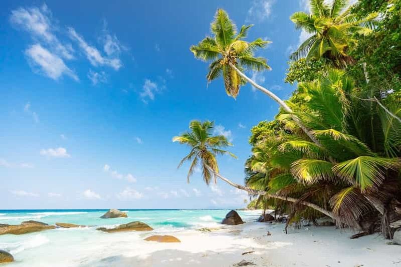 Billet Victoria : Seychelles Mahe Island Tour