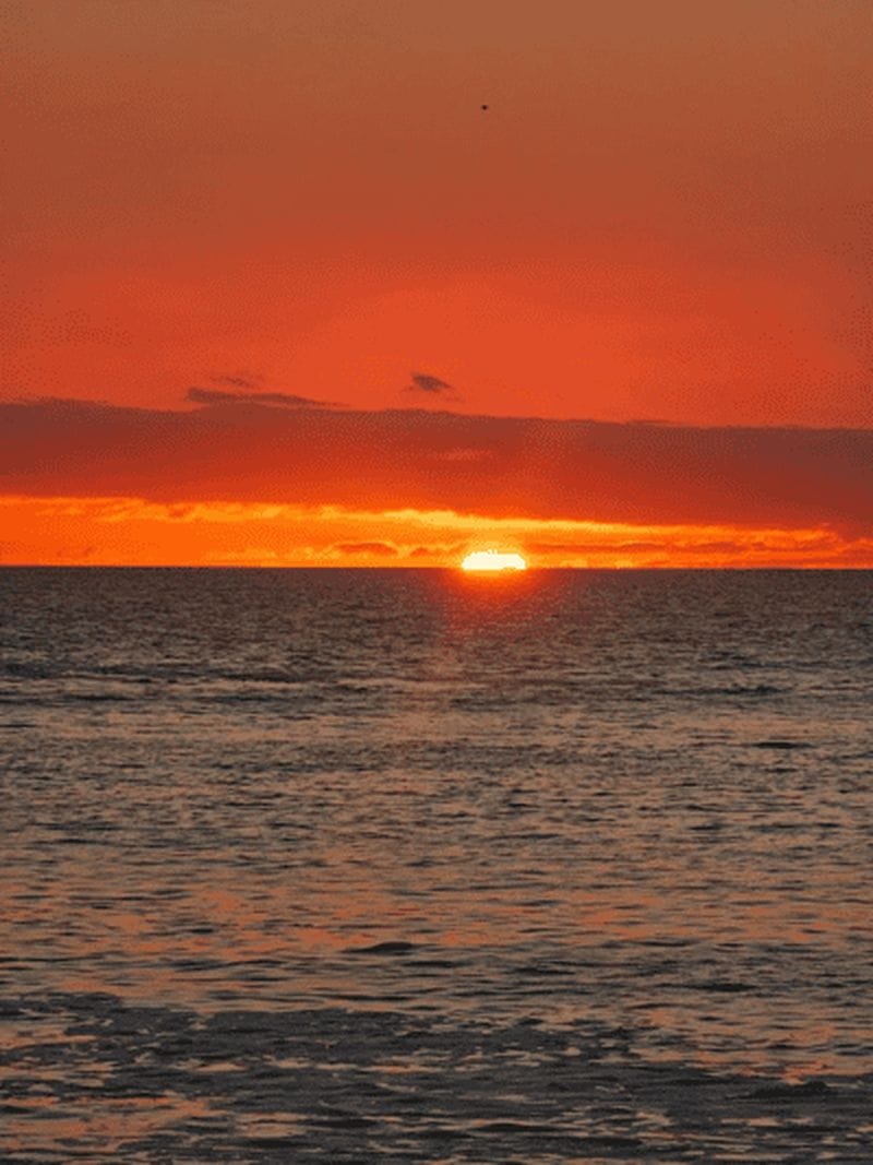 Billet Walvis Bay : excursion au coucher du soleil à Sandwich Harbour avec déjeuner