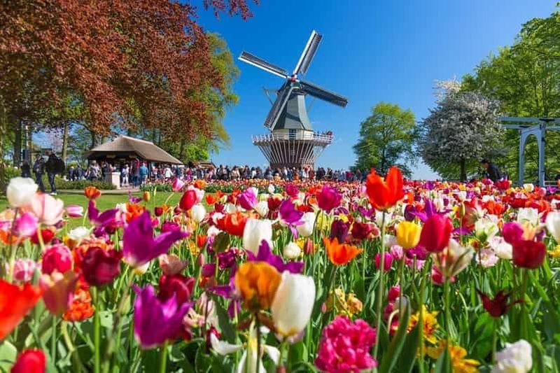 Billet Amsterdam : entrée au Keukenhof et navette avec retour flexible