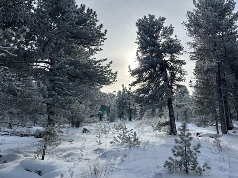 Billet Montagne Bogd Khan : randonnée au sommet du Tsetsee Gun et visite du monastère