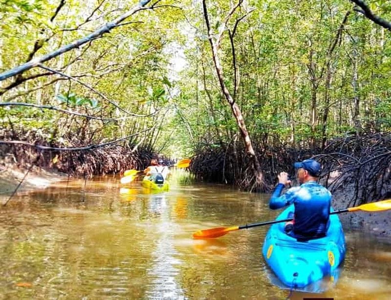 Billet Ko Lanta : kayak dans la mangrove et vieille ville