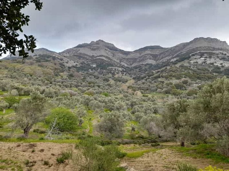 Billet Naxos : Randonnée à la campagne entre villages et églises byzantines