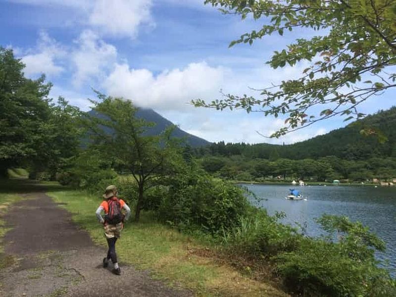 Billet Beppu : randonnée nordique et bain de forêt au lac Shidaka