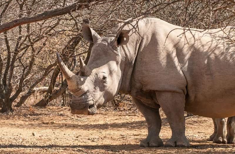 Billet Aventure autour de Gaborone