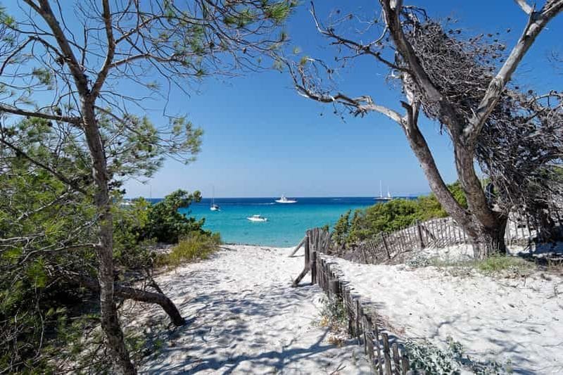 Billet Au départ de Calvi : visite guidée en jeep de l'Agriate jusqu'à Lotu et Saleccia