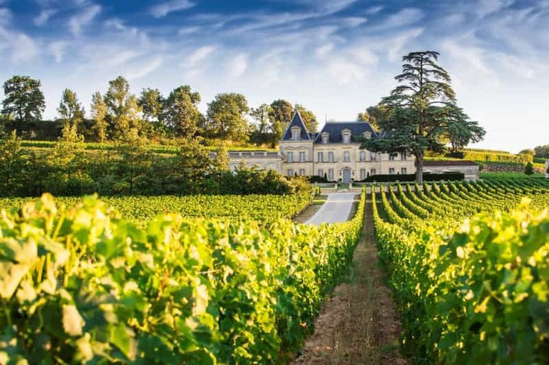 Billet Au départ de Bordeaux : visite privée des vignobles à Saint-Émilion