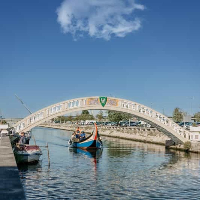 Billet Visite guidée en moliceiro à Aveiro (45 min) + cadeau souvenir