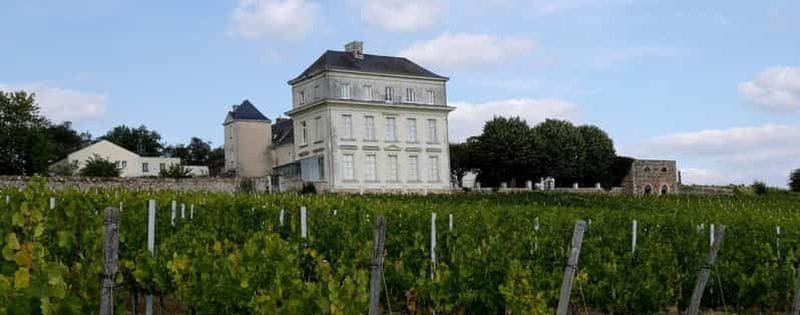 Billet Angers : Visite guidée œnotouristique au Château d'Avrillé avec dégustation
