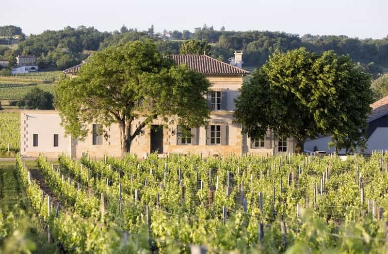 Billet Saint-Emilion : Visite d'un vignoble familial en agriculture biologique