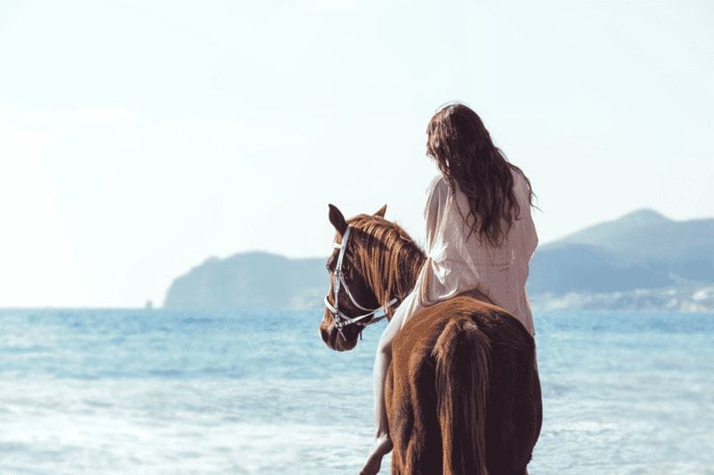 Billet Santorin : Excursion à cheval vers la plage de sable noir