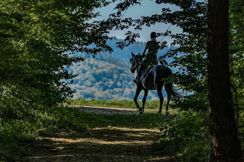Billet Louisiane : galop dans la nature et aventure guidée à cheval