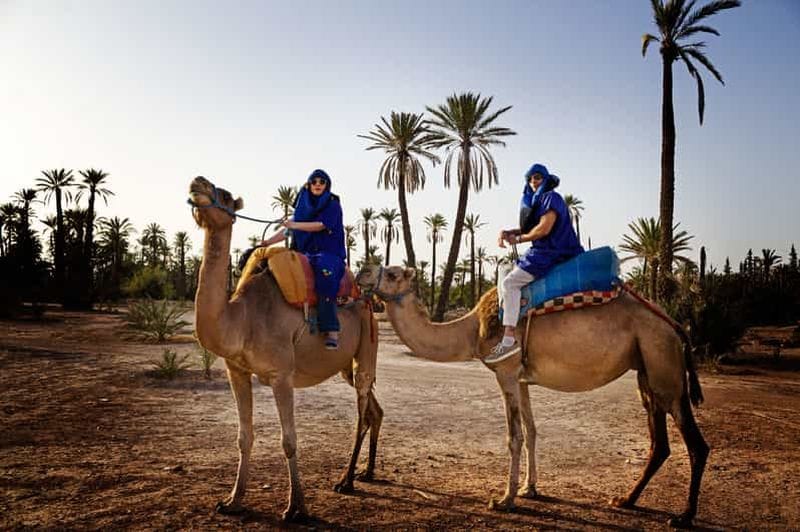 Billet Marrakech : Demi-journée de balade à dos de chameau dans la palmeraie