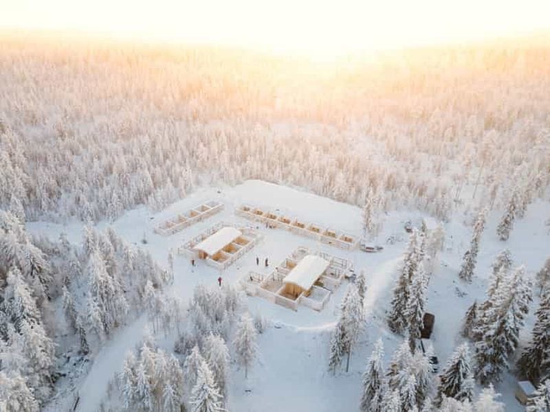 Billet Rovaniemi : balade en traîneau à chiens de 10 km
