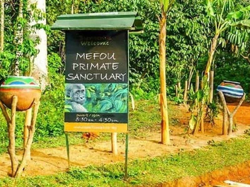 Billet Parc de la Méfou : visite d'un refuge naturel rare et préservé