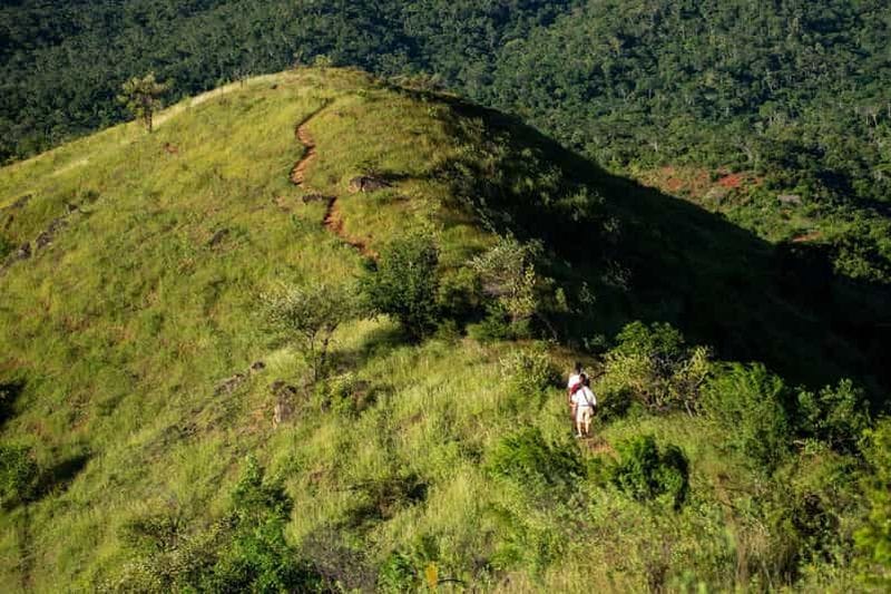Billet Depuis Antananarivo : randonnée de 12 jours à Marojejy et Ankarana