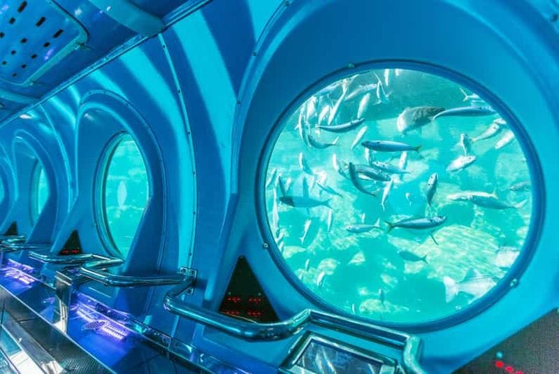 Billet Puerto de Mogán : Excursion sous-marine