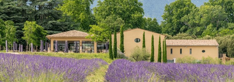 Billet Luberon : visite du vignoble et dégustation de vins
