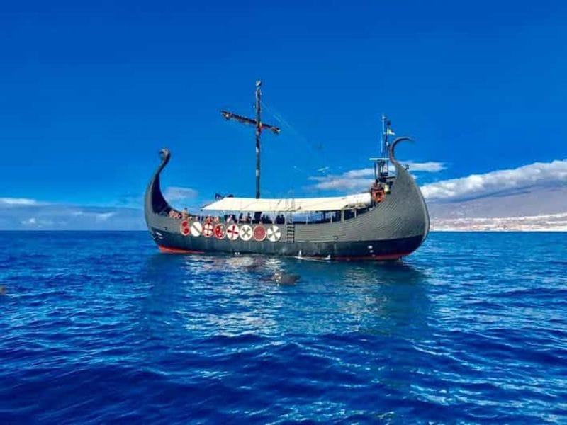 Billet Los Cristianos : croisière d'observation de baleines et de dauphins + HALTE BAIGNADE