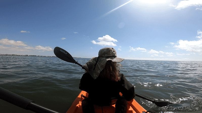 Billet Swakopmund : excursion en kayak au coucher du soleil avec phoques et prise en charge à l'hôtel