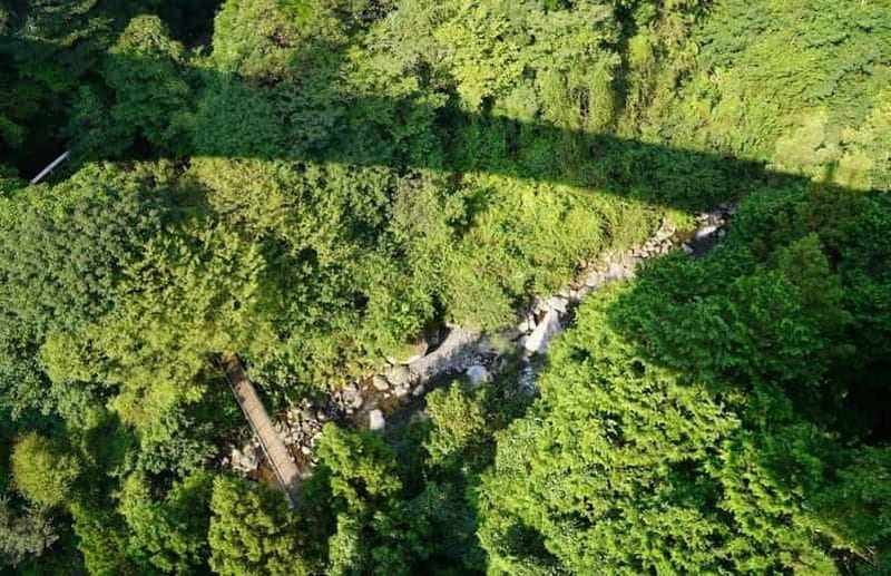 Billet Shizuoka : saut à l'élastique avec prise en charge à l'hôtel et guide