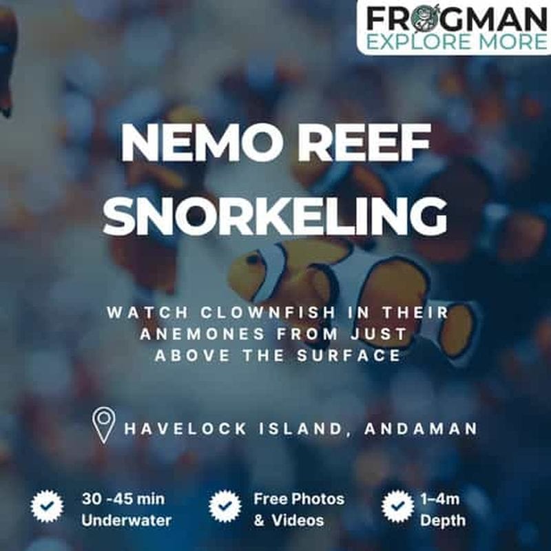 Billet Havelock : snorkeling au récif Nemo avec photos et vidéos GoPro
