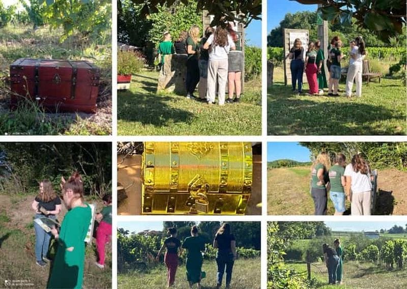 Billet Château Champion : Chasse au Trésor dans le vignoble